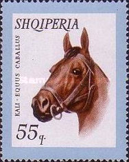 [Domestic Animals, type WJ]