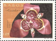 [Flora and Fauna, type CWU]