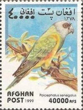 [Birds - Parrots, type AUI]