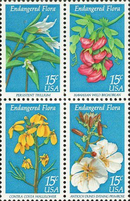 [Flowers - Endangered Flora, type ]