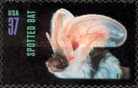 [American Bats - Self-Adhesive, type EEQ]