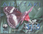 [Butterflies, type SK]