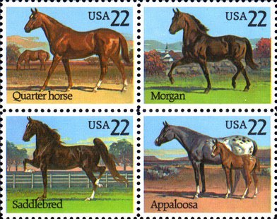 [American Horse Breeds, type ]