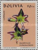 [Bolivian Flora, type OX]