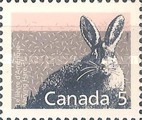 [Canadian Mammals, type AMC]