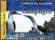 [Fauna of Galapagos Island, type DGX]