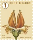 [Definitives - Tree Fruits and Nuts, type FHJ]