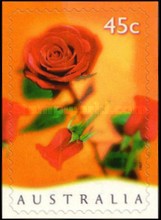 [Valentine`s Day, type BAN1]