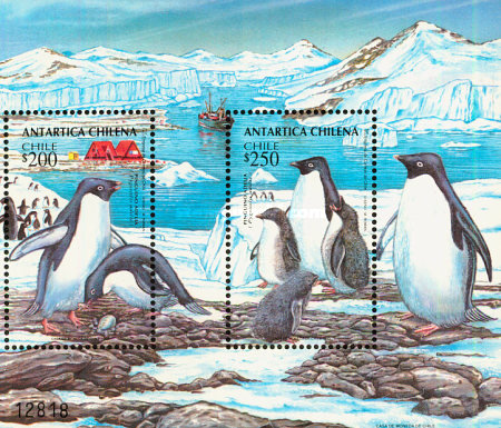 [Chilean Antarctic Territory, type ]