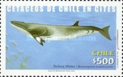 [Whales, type BQR]