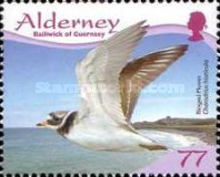 [Birds - Waders, type MR]