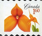 [Definitive - Flowers, Self-Adhesive, type CPD]
