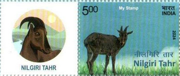 [Nilgiri Tahr - Personalized Vignette, type FHG]