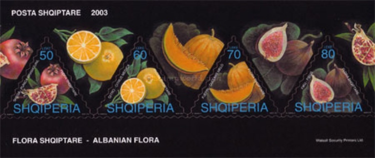 [Albanian Flora - Fruits, type ]