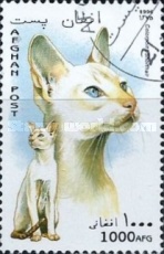 [Cats, type ANB]
