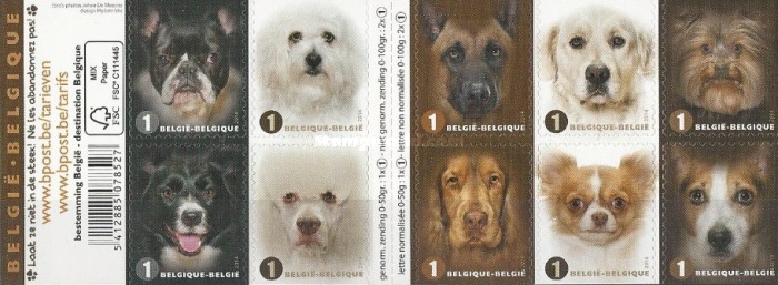 [Dogs, type ]