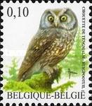 [Birds - Common Teal & Boreal Owl, type DGP]