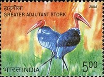 [Endangered Birds of India, type CKG]