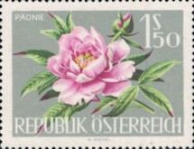 [Vienna International Horticultural Show, type ZV]