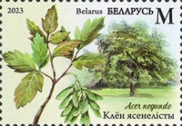 [Invasive Species of Flora and Fauna of Belarus, type BGW]