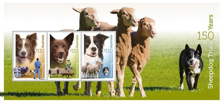 [The 150th Anniversary of Sheepdog Trials, type ]