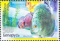 [Aquarium Fish - Discus Fish, type WE]