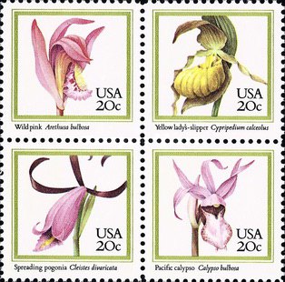 [Orchids Issue, type ]