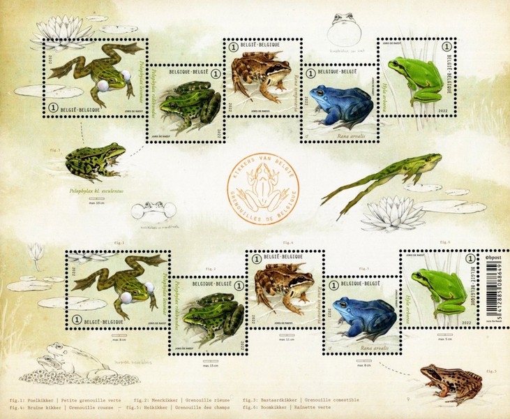 [Fauna - Frog Species of Belgium, type ]