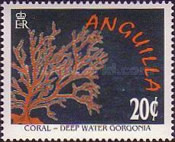 [Corals, type AKY]