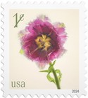 [Flowers, type JAS]