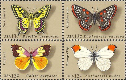 [Butterflies, type ]