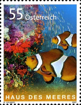 [The 50th Anniversary of the Haus des Meeres, type CNG]