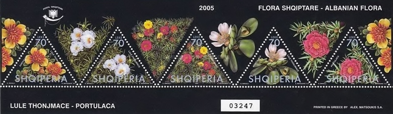 [Flowers - Portulaca grandiflora, type ]