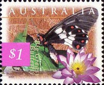[Fauna and Flora, type BAY]