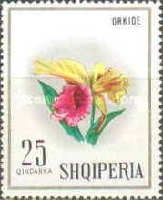 [Flowers, type AER]