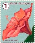 [Definitives - Flowers, type XSN]
