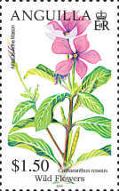 [Fauna - Wild Flowers, type AXC]