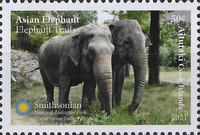 [Fauna - Elephants, type ABF]