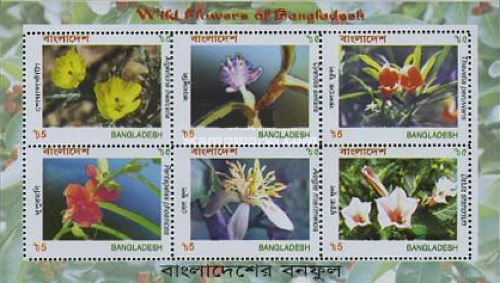 [Wild Flowers, type ]