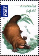 [Fauna - Australian Bush Babies, type DVE]