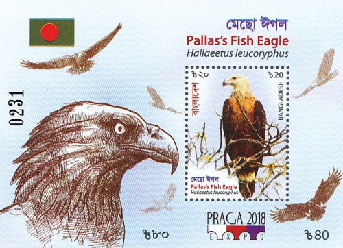 [Birds - Fish Eagle - Specialized World Stamp Exhibition PRAGA 2018, type AVD]