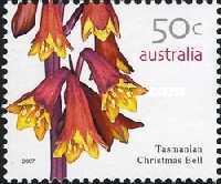 [Australian Wildflowers, type CVD]
