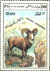 [Fauna - Bighorn Mountain Sheep, type VJ]