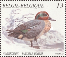 [Birds - Ducks, type BMR]