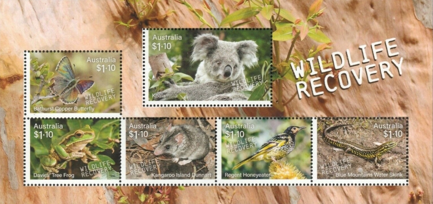 [Wildlife Recovery, type ]