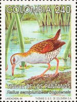 [Birds, type BKO]