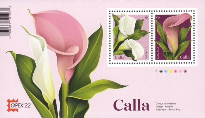 [Calla - Spring Flower - CAPEX '22, type DXM]