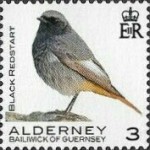[Definitives - Alderney Birds, type YK]