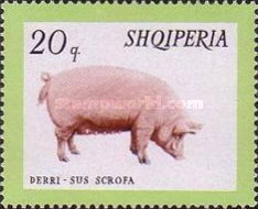 [Domestic Animals, type WE]