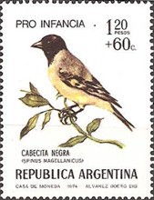 [Child Welfare - Birds, type AGL]